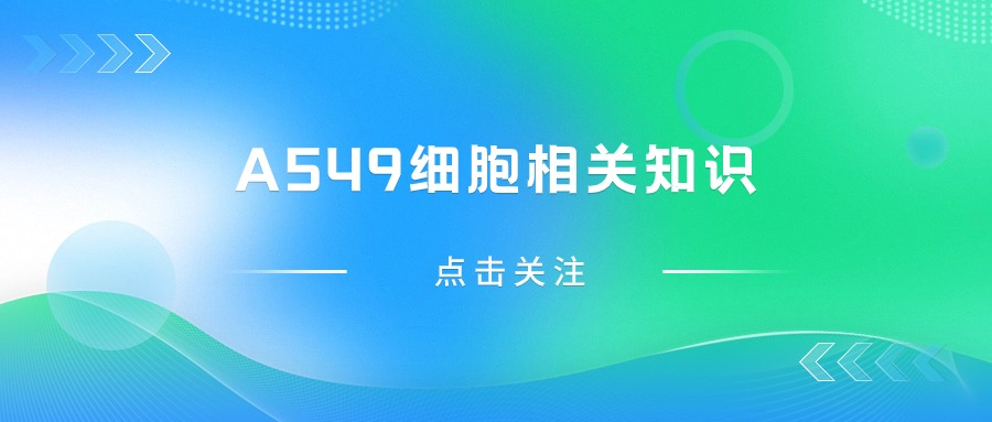 關(guān)于A(yíng)549細胞，您不得不知道的一些操作