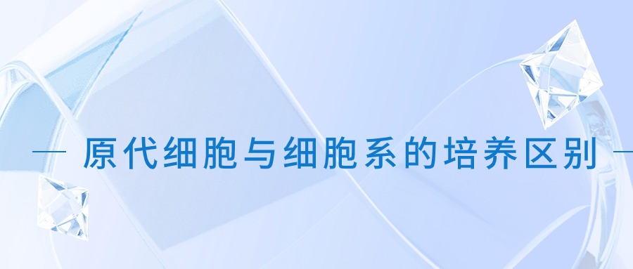 原代細胞與細胞系的培養區別